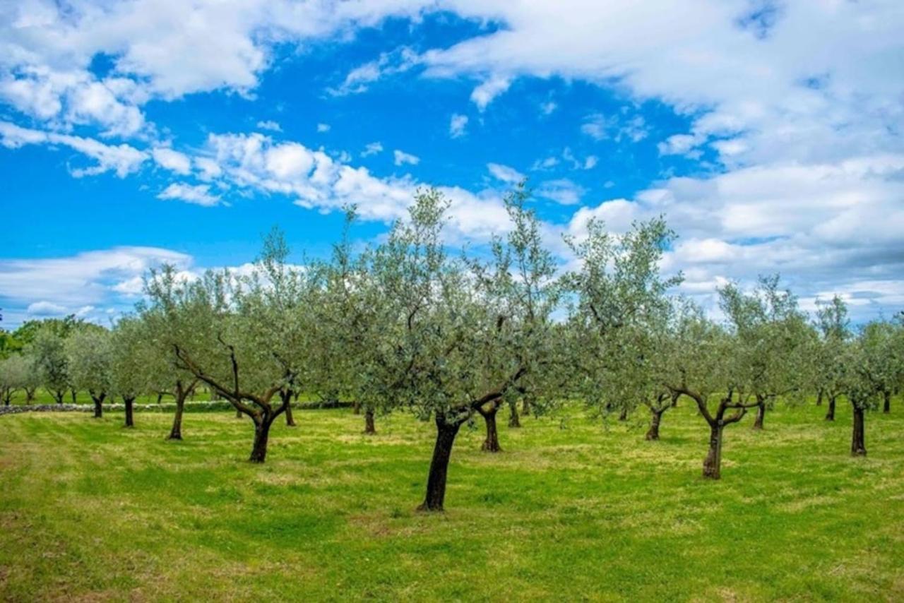 Villa San Polo Max Divšići Εξωτερικό φωτογραφία